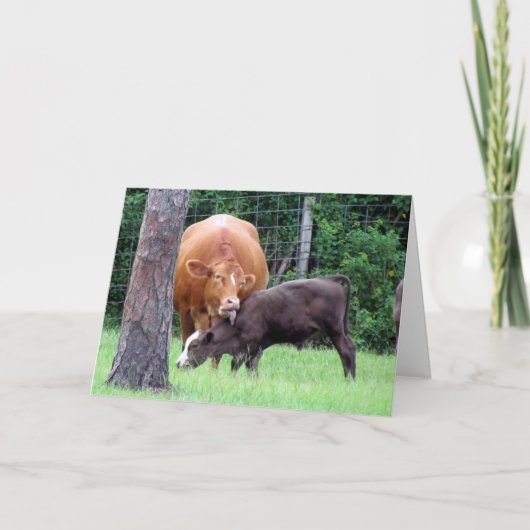 Koe Lick Moederdag Kaart (Voorkant)