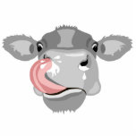 koe likkende neus fotobeeldje sleutelhanger<br><div class="desc">U kunt dit ONTWERP naar andere Zazoolproducten overdragen. U kunt VERDER AANPASSEN klikken om details zoals de achtergrondkleur of tekst toe te voegen, aan te passen, te schrappen of te veranderen. De design worden gemaakt in vectorafbeeldingen met een hoge resolutie voor een professionele afdruk. Bedankt voor het kiezen van mijn...</div>