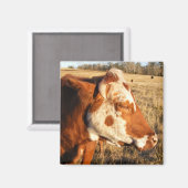 Koe magneet: Fancy Magneet (Voorkant / Achterkant)