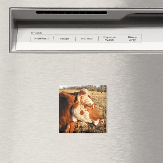 Koe magneet: Fancy Magneet (Insitu (Vaatwasser))