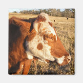 Koe magneet: Fancy Magneet (Voorkant)