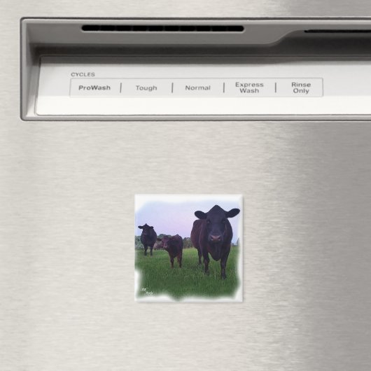 KOE MAGNEET! MAGNEET (Insitu (Vaatwasser))