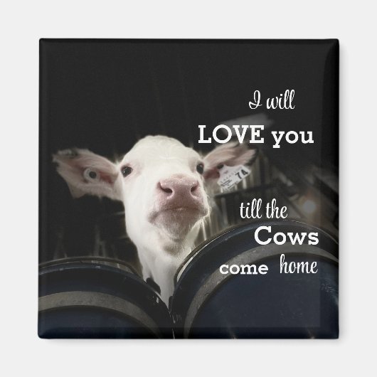 Koe Magnet (Voorkant)