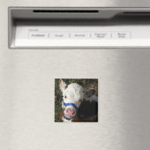 Koe Magnet (Insitu (Vaatwasser))