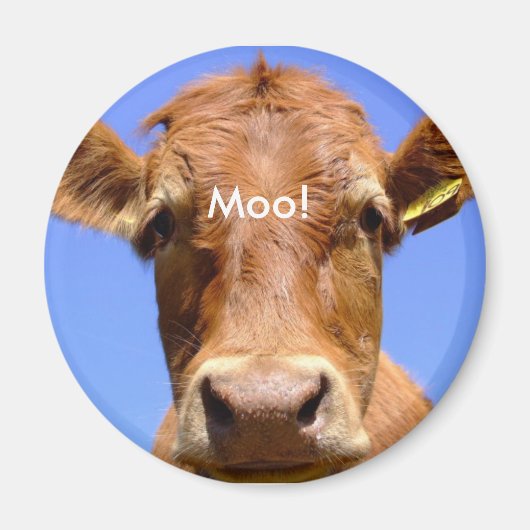 Koe Magnet (Voorkant)