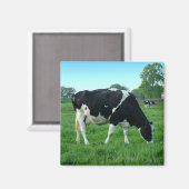 Koe magneten (Voorkant / Achterkant)