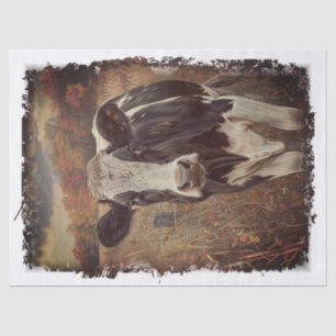 Koe Melk Holstein Friesian Weefselpapier Tissuepapier