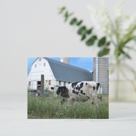 Koe met Barn Briefkaart (Staand voorkant)