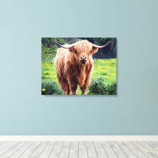 Koe met grote hoorns mooie natuur canvas afdruk (Insitu (Houten vloer))