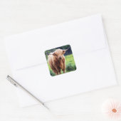 Koe met grote hoorns mooie natuur vierkante sticker (Envelop)