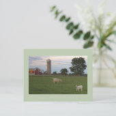 Koe met Kalf Boerderij Briefkaart (Staand voorkant)