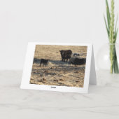 Koe met kalf kaart (Achterkant)