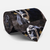 Koe met oor labels stropdas (Opgerold)