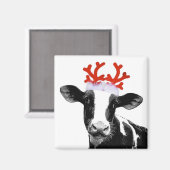 Koe met rendierAntlers Magneet (Voorkant / Achterkant)