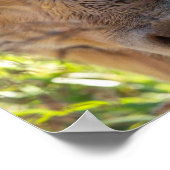 Koe met tongen uit tikken afdrukken poster (Hoek)