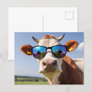 Koe met zonnebril briefkaart