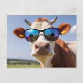 Koe met zonnebril briefkaart (Voorkant)
