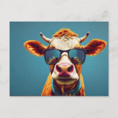Koe met zonnebril briefkaart (Voorkant)