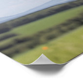 Koe met zonnebril poster (Hoek)