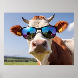 Koe met zonnebril poster