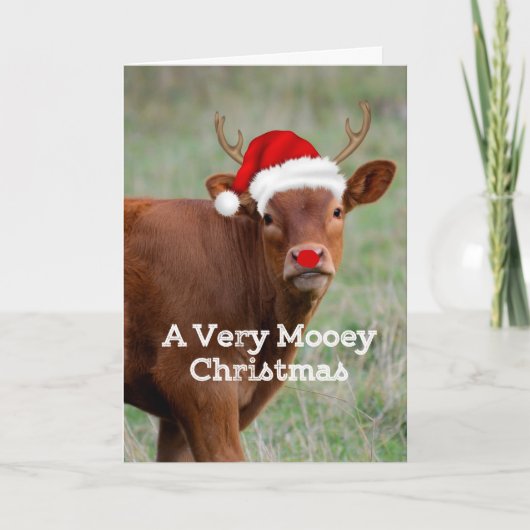 Koe Mooey Christmas Feestdagen Kaart (Voorkant)