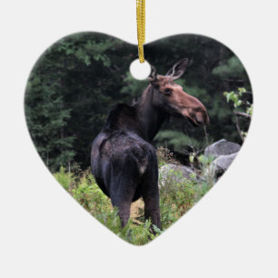 Koe Moose Keramisch Ornament