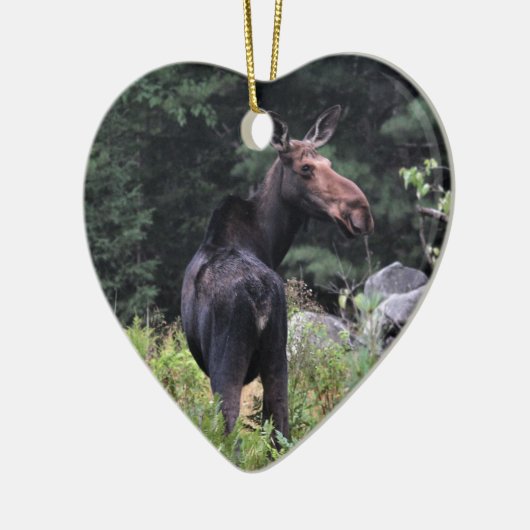 Koe Moose Keramisch Ornament (Links)