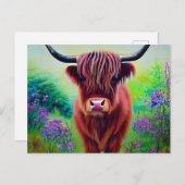 Koe natuur Hoogland Briefkaart (Voorkant / Achterkant)