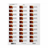 Koe olieverfportret etiket (Full Sheet)