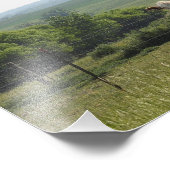 Koe op het Boerderij met  achtergrond Foto Afdruk (Hoek)