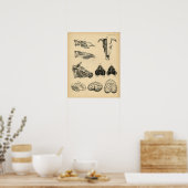 Koe Ox Skull Brain Anatomy 1908  Afdrukken Poster (Keuken)