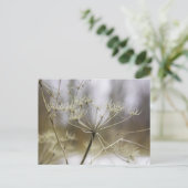 Koe peterselie briefkaart (Staand voorkant)