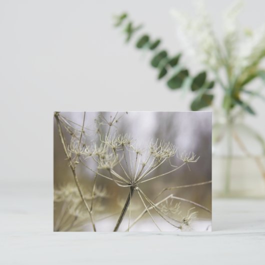 Koe peterselie briefkaart (Staand voorkant)