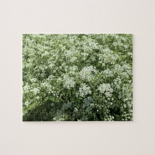 Koe Petersely White Flowers Natuur Legpuzzel (Horizontaal)