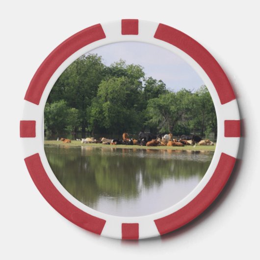 Koe Poker Chips (Voorkant)