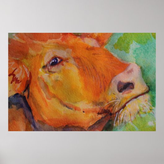 Koe Poster (Voorkant)