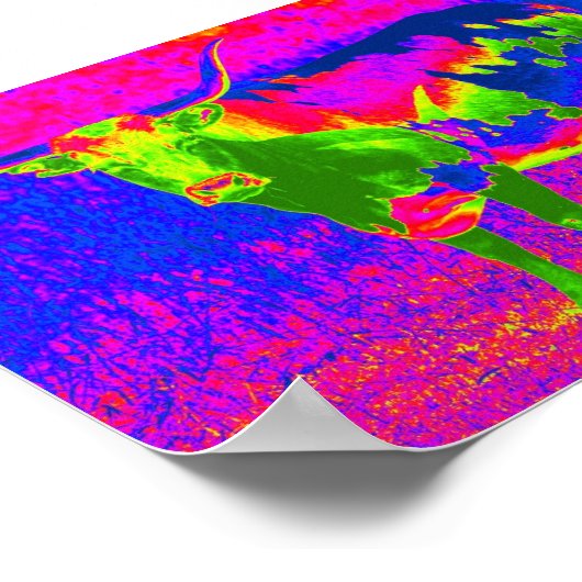 Koe Psychedelic Texas Longhorn Poster (Hoek)