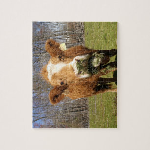Koe Puzzle Legpuzzel
