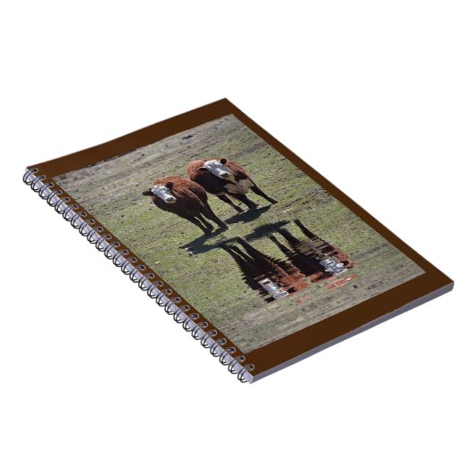 Koe Reflecties Notitieboek (Rechterzijde)