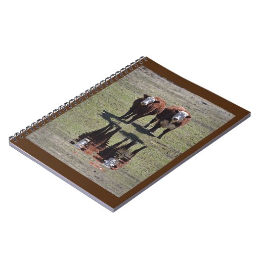 Koe Reflecties Notitieboek (Linkerzijde)