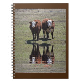 Koe Reflecties Notitieboek (Voorkant)