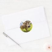 Koe Ronde Sticker (Envelop)