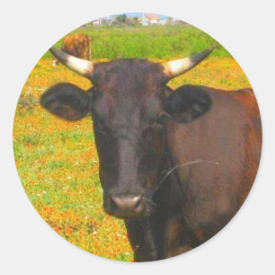 Koe Ronde Sticker