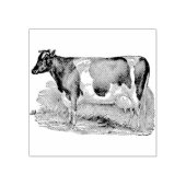 Koe Rubberstempel (Afrduk)