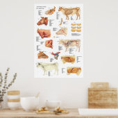 Koe Runderanatomie Grafiek 24 x 36 inch Poster (Keuken)
