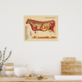 Koe Runderen Veterinaire interne anatomiegrafiek Poster (Keuken)