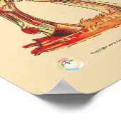 Koe Runderen Veterinaire Muscula Anatomie Grafiek Poster (Hoek)