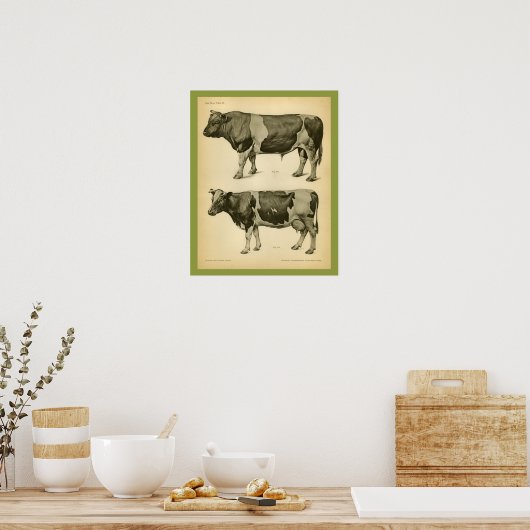 Koe Rundle Veterinary Anatomy Print (Keuken)