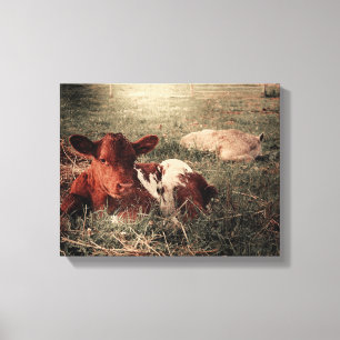 Koe Rustic Land Farmhouse Canvas Afdruk