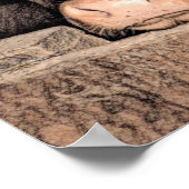 Koe Rustic  Schetch Art Land Barn Boerderij Poster (Hoek)